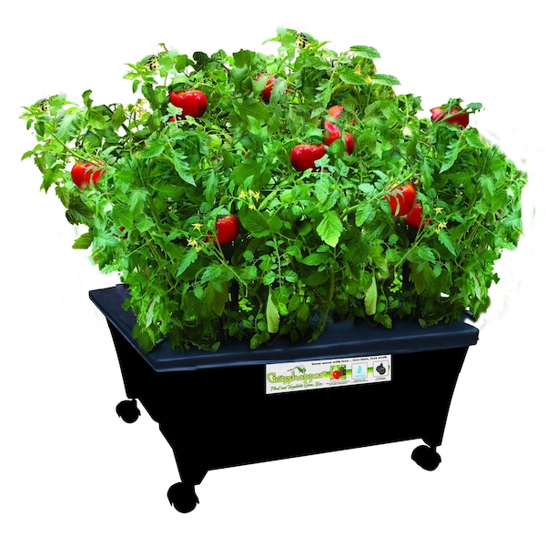 Emsco Group Grasshopper Hydroponics Non-Electric Indoor Grow Box with Casters, Black 2371 - main